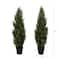 3ft. Potted UV Resistant Cedar Pine Trees, 2ct.